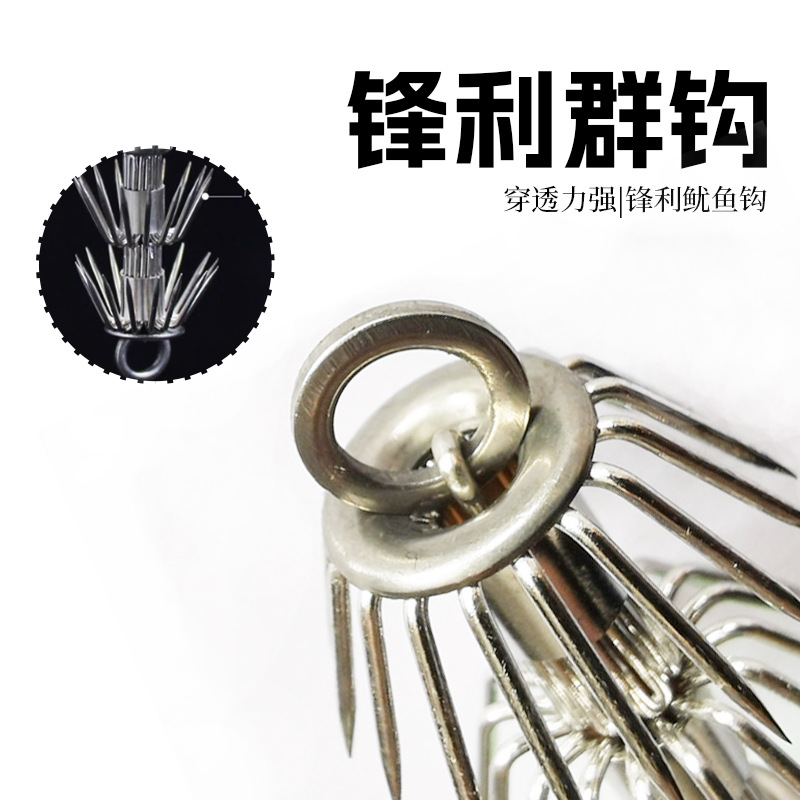 Calamar luminoso, calamar