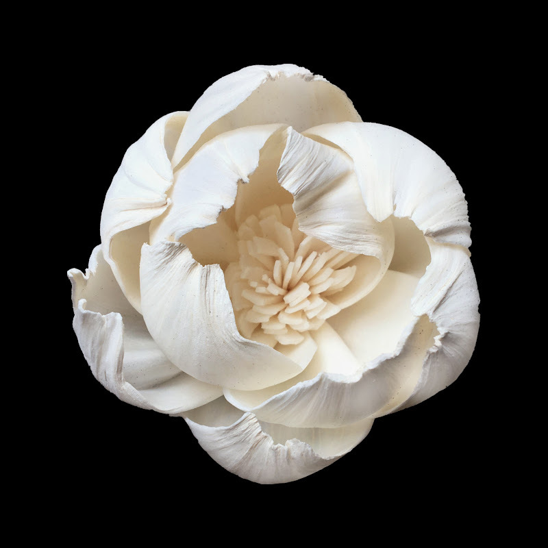 6.5cm牡丹花