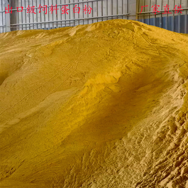 厂家供应玉米蛋白粉 饲料添加植物蛋白 价格经济实惠