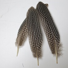 ���l15-20cmĸ�u����C����ëDIY�Ʒ�����̨�����߶�؈����ë
