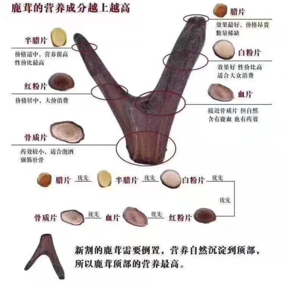 Deer Antler Powder Lu Rong Fine Ground TCM Herbal Supplement 500g Bulk Pack specifications