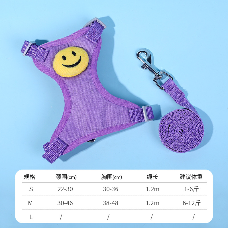 Nuevo pequeño perro Correa transpirable PET pecho Correa chaleco perro cuerda lindo patrón oso Correa