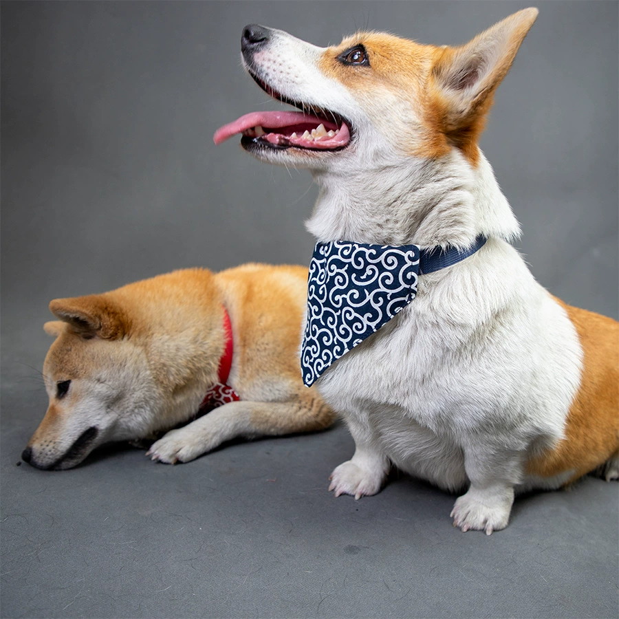 Шарф для животных в японском стиле с арабесками, для кошек и собак, для фотосессий, в японском стиле, с принтом лимона и шиба-ину