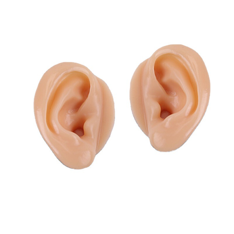 Fake Ear Model Silicone Simulation Ear Model Student Teaching Earrings Headset Display Props Silicone Fake Ears