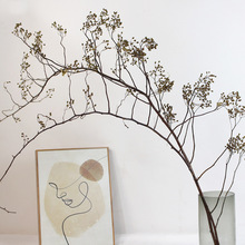 山归来植物干花干树枝永生花中式天然卧室客厅装饰侘寂风摄影软装