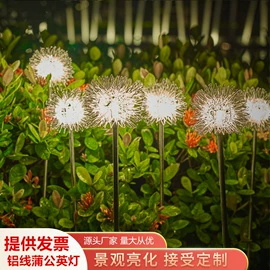 景观灯;草坪灯;LED装饰灯