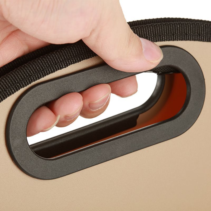 Handheld organ