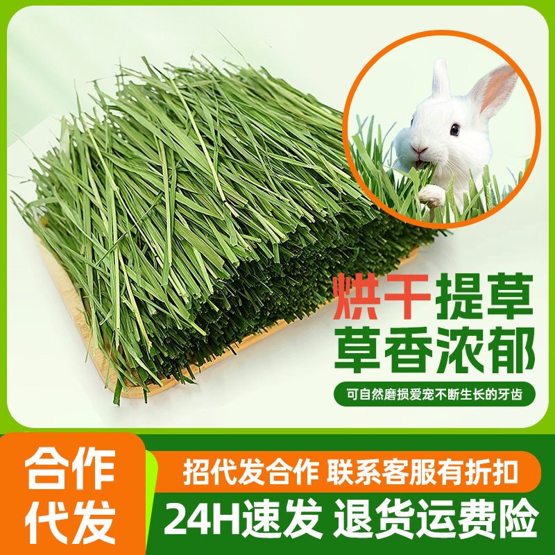 [Dropshipping] Timothy Grass Dried Grass Segments Rabbit Food Feed Teething Edible Pasture Dried Pet Food
