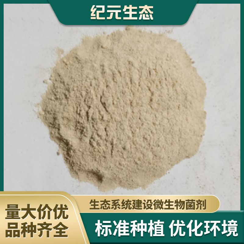 生态系统建设微生物菌剂，除藻 生物净水剂 量大从优厂家供应