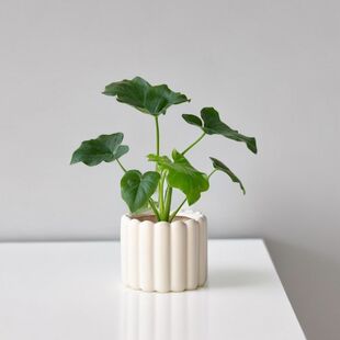 ����ֲ��С�����҃Ȼ�������Gֲ�̨�辰��ˮ��lؔ���k�����[��