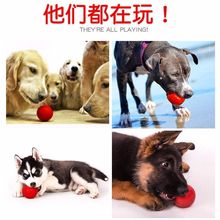 狗狗玩具球耐咬實心球磨牙玩具中大型犬訓練泰迪薩摩耶金毛玩具球