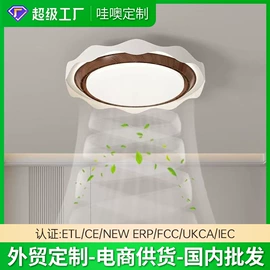 吸顶灯;吊灯;成套灯具