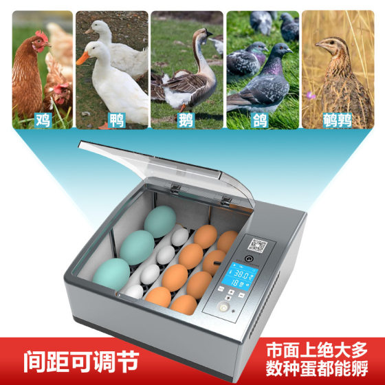 Home Incubator Chicken Incubator Small Home Incubator Automatic Intelligent Chicken Duck Goose Pigeon Incubator