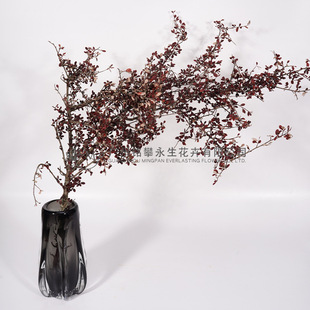 ���ɻ�˯˯�����ɘ�֦�ɹ������֦�Ҿ�ܛ�b��ƿ�廨���������l