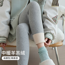 打底裤女外穿纯棉高腰秋冬显瘦加绒加厚紧身裤2025年新款螺纹秋裤