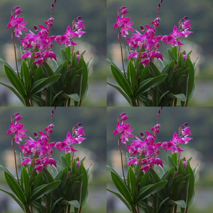 ˮ��������������ˮʯ���m���ļ��_��С�;Gֲ���������͟��m��