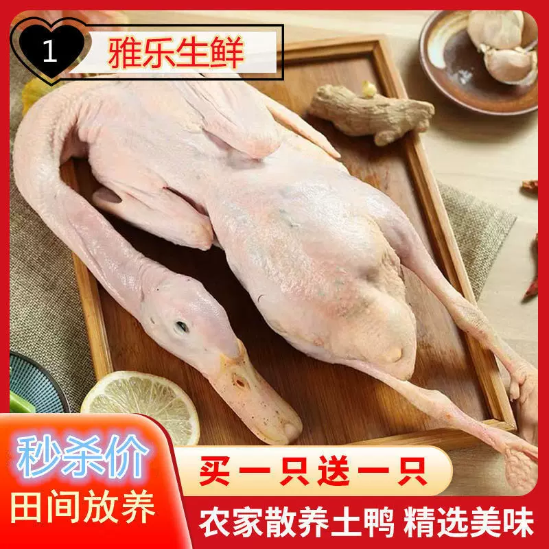 农村散养土鸭现杀新鲜鸭子肉整只老鸭子麻鸭鸭头鸭脖肉类生鲜食品