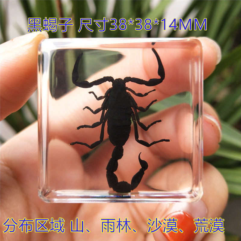 블랙 스콜피온 80%