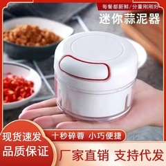 Douyin キッチンガーリックマシン家庭用ミニ手動ガーリックマシンミートグラインダーチリジンジャーガーリックマシン