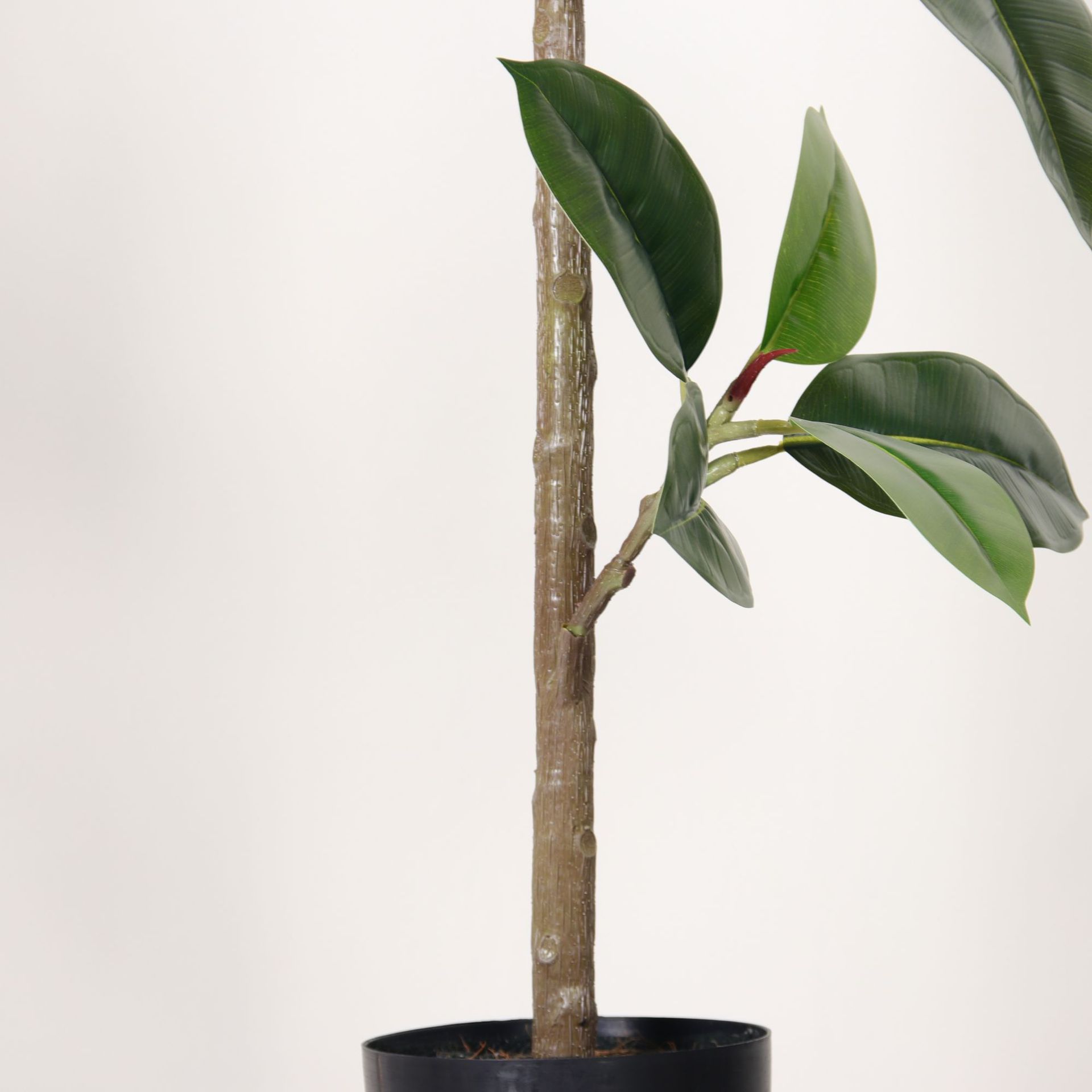 Simulación de plantas verdes, árboles de caucho de diamante negro, plantas en macetas, adornos de sala de estar de lujo ligero de alta gama, plantas falsas de banyan de hoja verde a gran escala