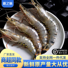 黑虎虾新鲜大虾老虎虾鲜活老虎虾速冻海鲜竹九节虾生鲜商用批发