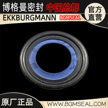 ����ԭ�b�M��GARLOCK����˹Ǽ��ͷ��S��