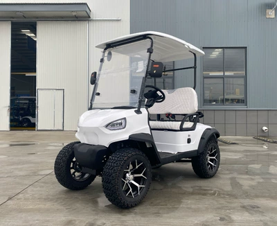 Golf Carts with 2-10 Seats for Tourist Attractions, Golf Courses, Guesthouses, and Hotel Receptions (Elektrikli qolf avtomobilləri) - 2-golf-carts