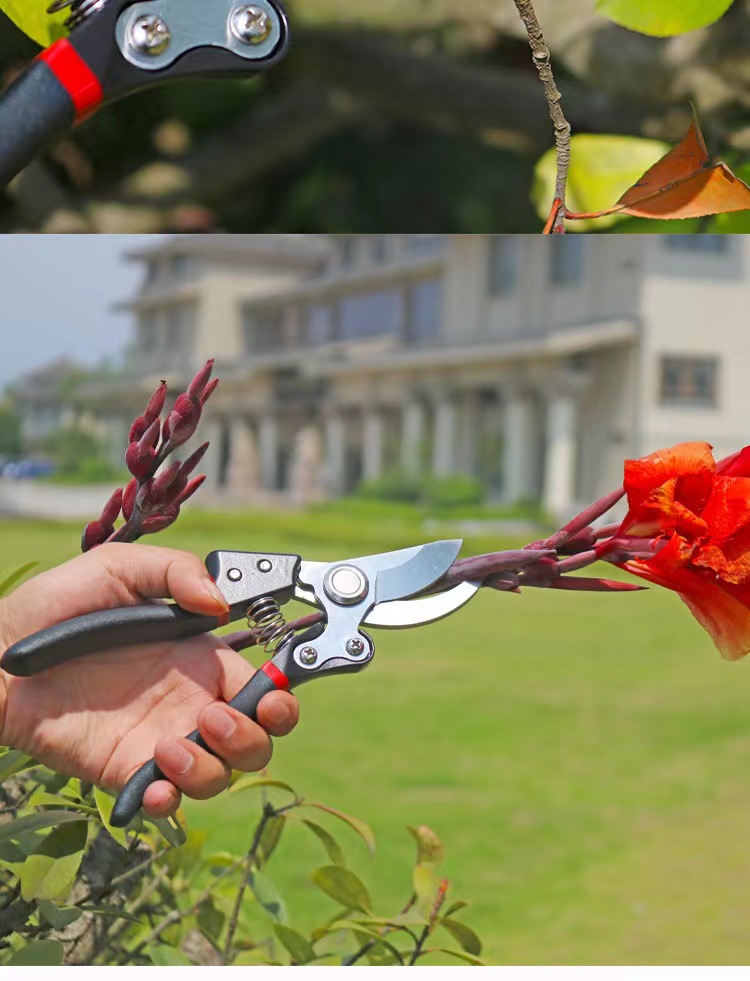 微信图片_20220808114017