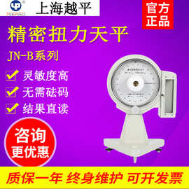 上海越平JN-B-250精密扭力天平