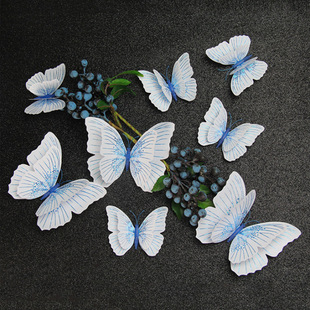 �W�����3d���w�����b�����ˇƷ����12ֻ��������p�Ӻ������N