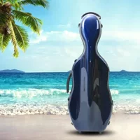 Коробка для виолы высокого класса из стеклянной стали коробка для виолы может быть упакована 16,5-дюймовая коробка для виолы