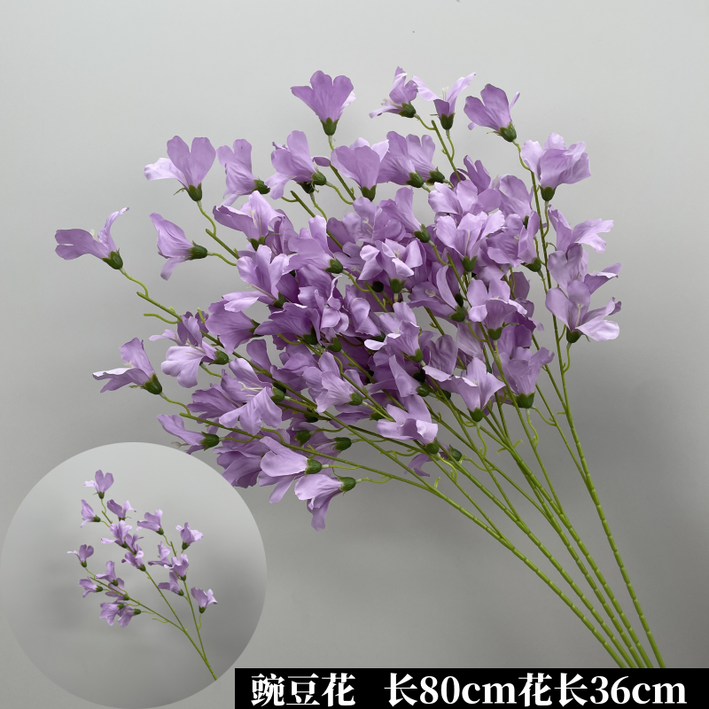 황금빛 연한 보라색 완두콩 꽃