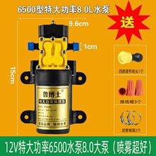 �r��늄Ӈ��F��ˮ��12V���F�������ȫ��Ĥ�ô�ș�C�߉����ʱ�