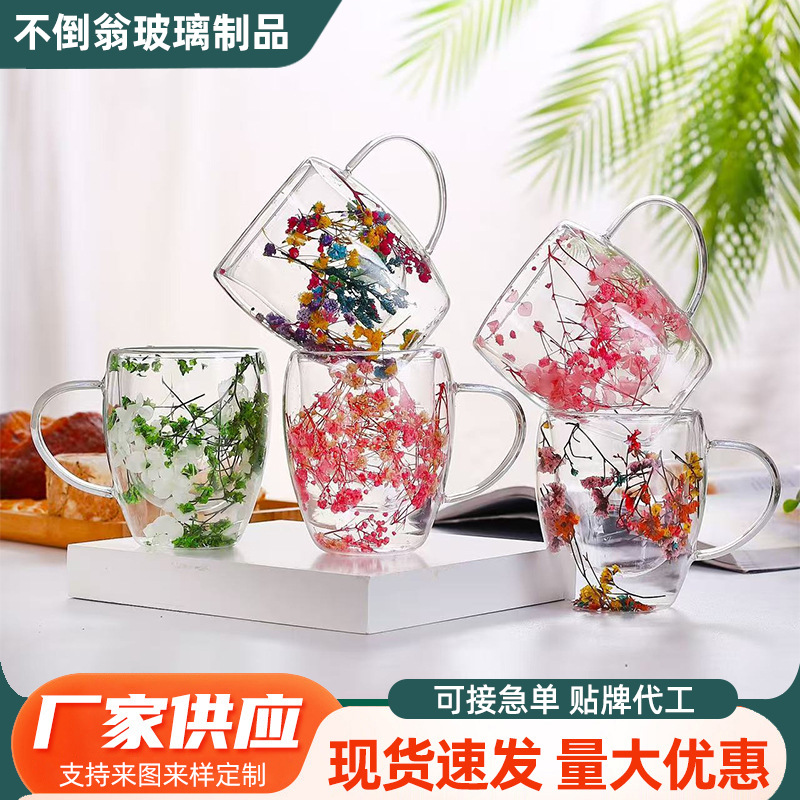 批发高硼硅玻璃杯干花双层玻璃杯家用办公室隔热牛奶咖啡花茶杯