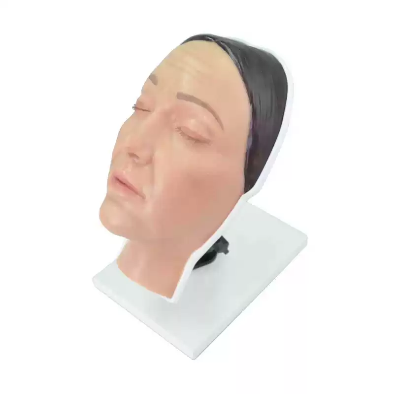 Красная косметика головная модель, модель лица женщины, практика медицинской инъекции красоты, модель лица женщины