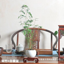 ���� ���������^����t�����Pβ���҃�����ֲ����B�k�����辰