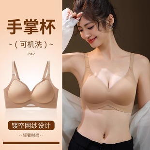 �o�ۃ���Ůʿ�۔nС��2024�¿��ո�����´��Ը������֟o�Ȧ����