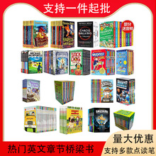 英文章节书桥梁书畅销科普故事漫画绘本冒险侦探系列