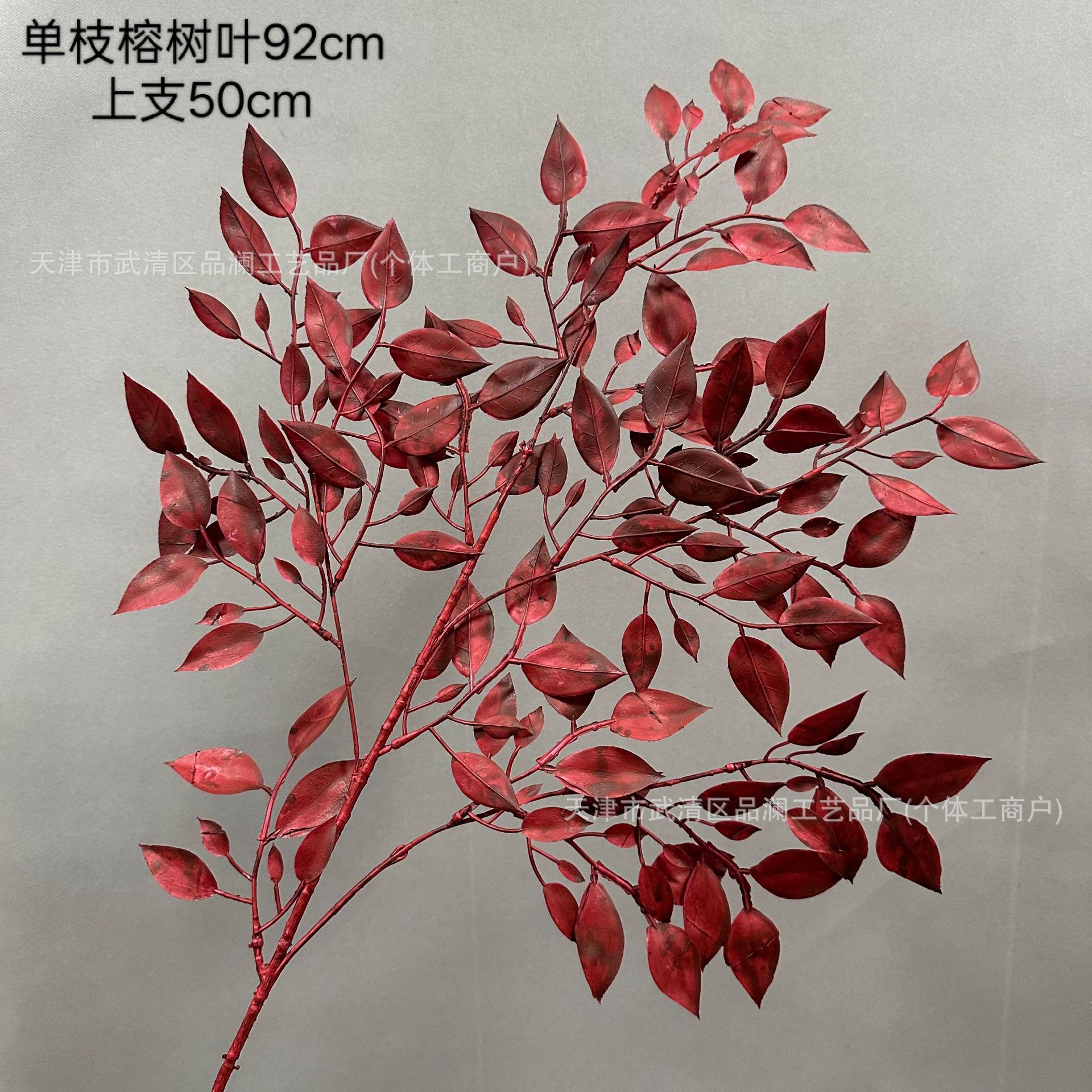 반얀 잎