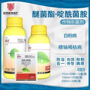 ��˹�� ���30%�Ѿ������������ݮ�S���^�p�¼��׷۲��rș������