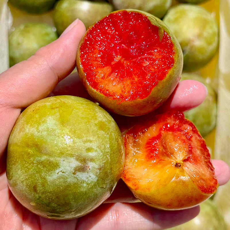 Xinjiang Self-Grown Dinosaur Egg Plums Gift Box, Sweet and Juicy with Thick Flesh, Fresh Seasonal Fruit, Whole Box Delivery of Plums