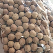 �V������ʯ�{���A���۸����r�д��������Ƥ���o��ɢ�b���A��