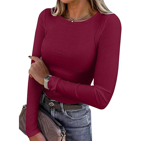 Women's Long Sleeve Top Autumn Winter Outerwear Inner T-Shirt Milk Silk Polyester Base Layer Shirt_ecoleips.com