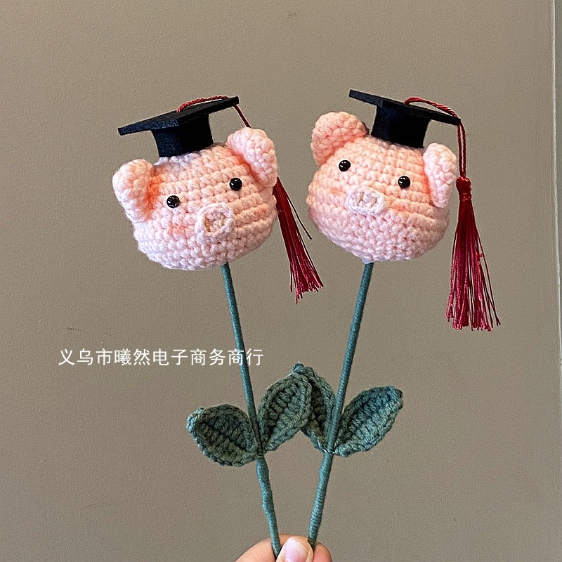 成品畢業季博士帽豬豬畢業動物花束學校手工鈎織毛線編織鈎織花束