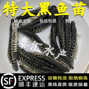 ���~�絭ˮ���Bֳ���w���|���~���~��ؔ�~����k�~�����ͺ��~�~��