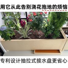 ����ˮ�P�̨�҃Ȍ��û���ˮ�໨��Nֲ����ƻ��ۑ����L����