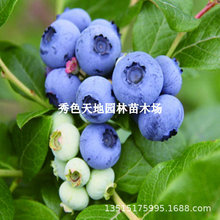 �{ݮ����������Ϸ��̨�Nֲ���籱��ͥԺ�ͺ����Թ��������{ݮ��