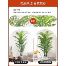 �Gɫֲ��ɢβ���҃ȿ͏d�[��ֱ���g�ٻ��Շ������ֲ�������Ĭ�J