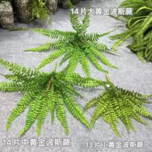 �羳�·���ާ������Gֲ�b� 14Ƭ�S��˹ާ ���^�b������l