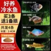 [Easy to raise cold water fish] Buy 3 and get 1 free for loss A